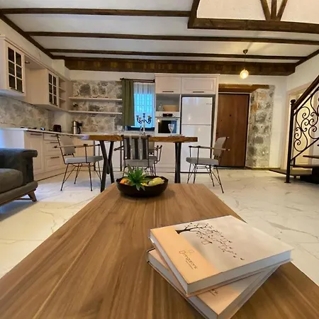 Hotel Mustafa